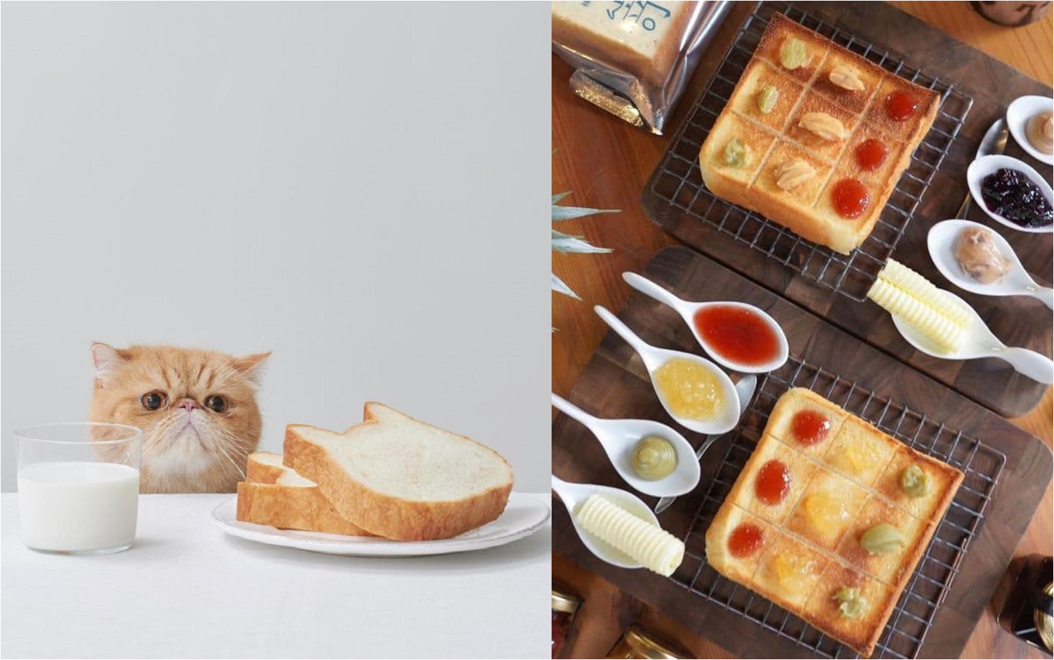 吐司愛好者請筆記！盤點吐司控吃過都說讚的5大麵包店：有生吐司跟好吃到流淚的流淚吐司，入口就融化、每一口都能吃到麵包香，讓人咬一口就愛上&hellip;&hellip;