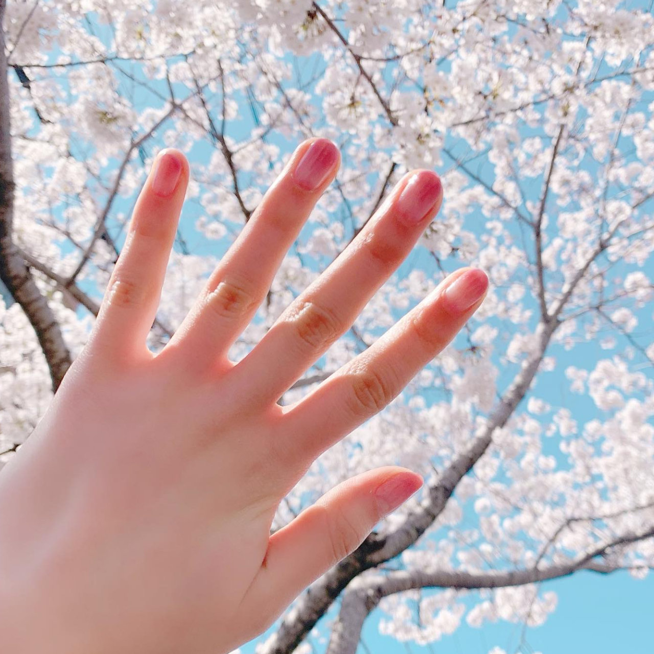 粉色控請收下！盤點多款春季超美櫻花美甲：在指尖綻放粉嫩櫻花、立體花雕美甲，全都美到讓人少女心大開