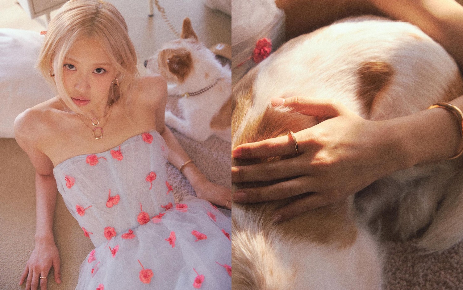 適合日常配戴的Tiffany & Co.戒指推薦，6大系列13款超人氣精選，設計特色、材質、售價一併公開