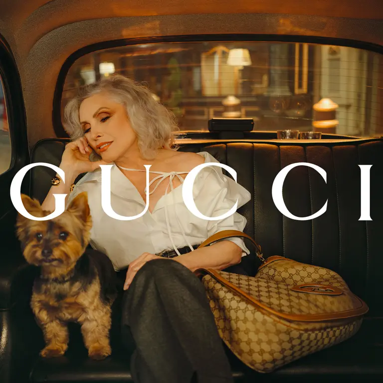 GUCCI 名人最愛的經典包款