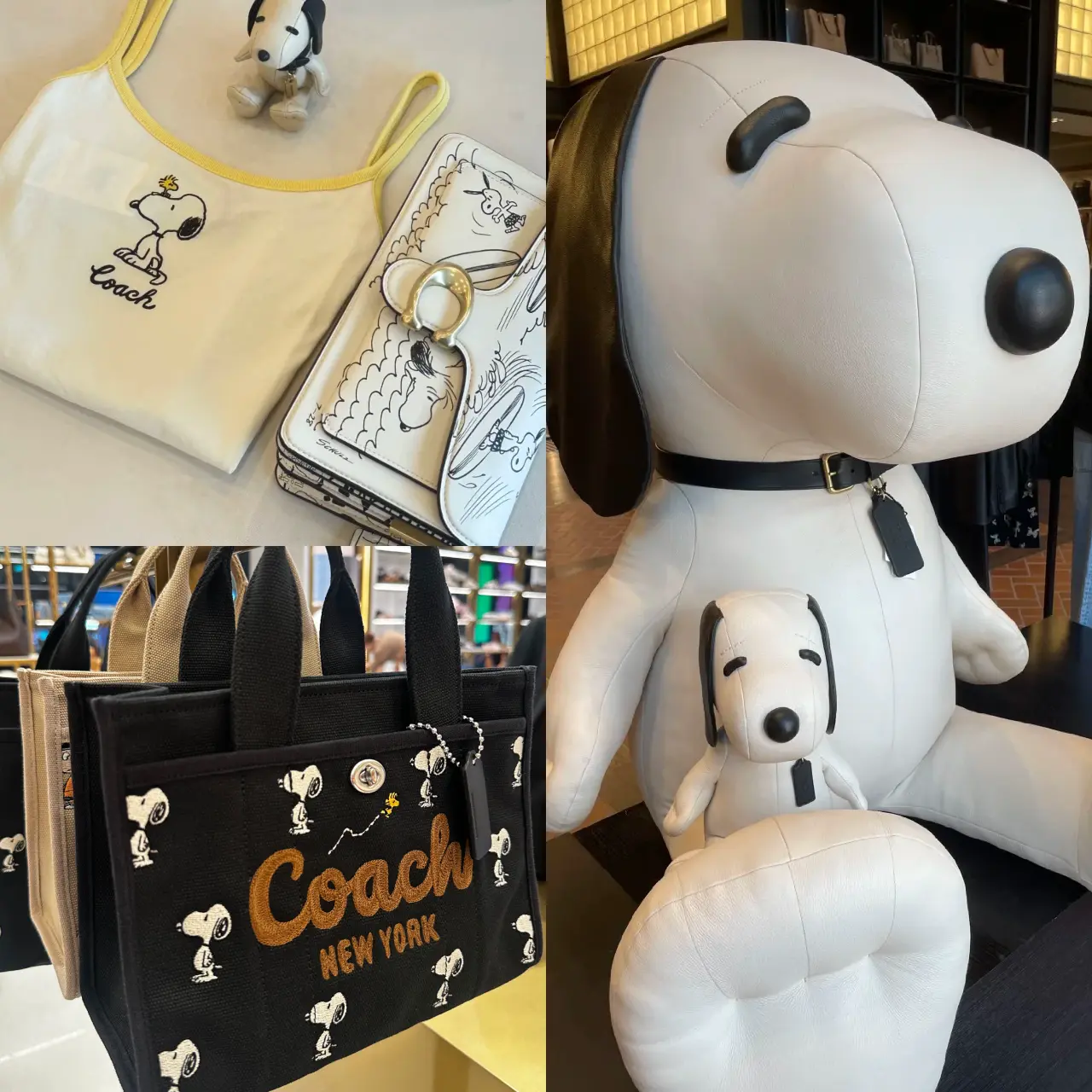 Coach X Snoopy 2025聯名系列開賣了！巨型史努比玩偶現身信義區、卡通 