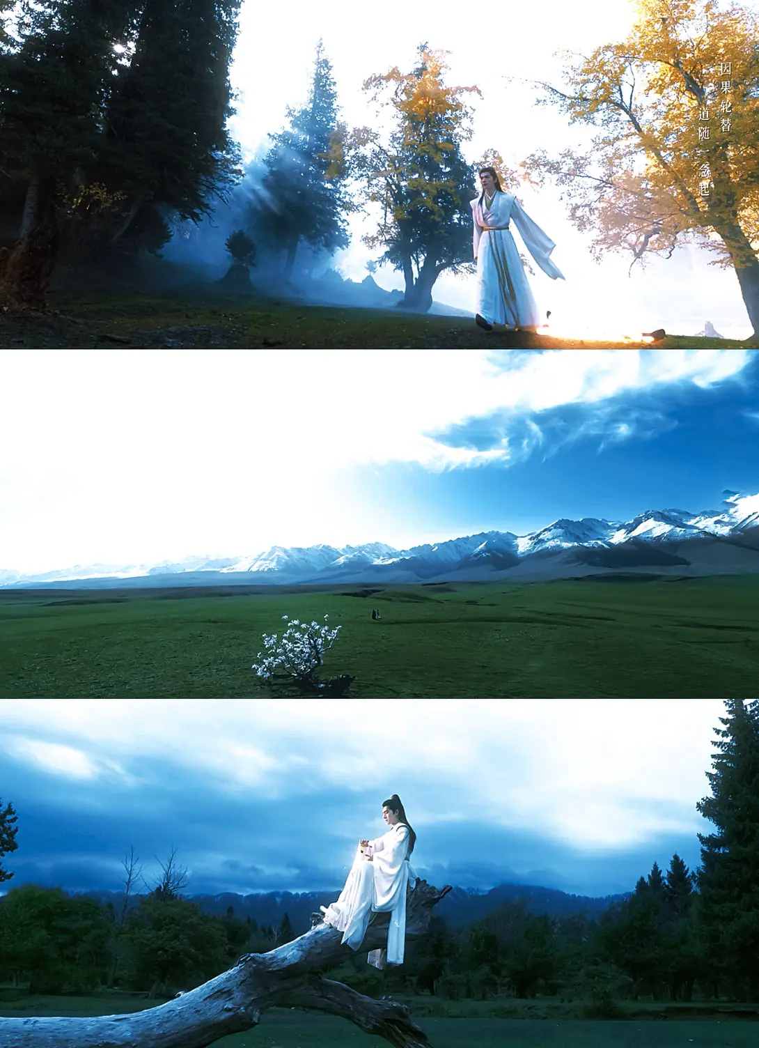 凡人修仙傳》開播評價爆好！楊洋演技升級被認證，與金士傑飆戲＋5大亮點網友狂讚｜新光三越| 新光百貨首頁| 最新優惠| SKM官方網站