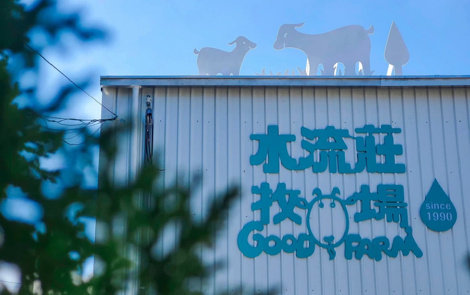 水流莊牧場｜親子首選