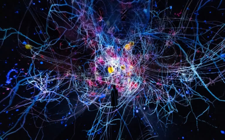 「京都teamLab」10/7開幕！日本最大規模沉浸式藝術展館，未發表過的作品、票價搶先看