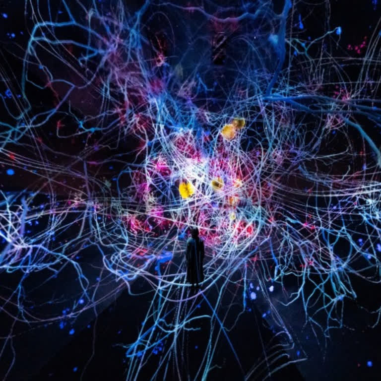 「京都teamLab」10/7開幕！日本最大規模沉浸式藝術展館，未發表過的作品、票價搶先看