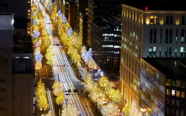 2025「大阪光之饗宴」冬季聖誕燈飾攻略｜御堂筋燈飾睽違5年換新色、TeamLab大阪植物園戶外光影盛宴一次掌握