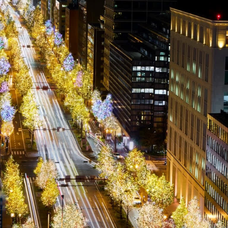 2025「大阪光之饗宴」冬季聖誕燈飾攻略｜御堂筋燈飾睽違5年換新色、TeamLab大阪植物園戶外光影盛宴一次掌握
