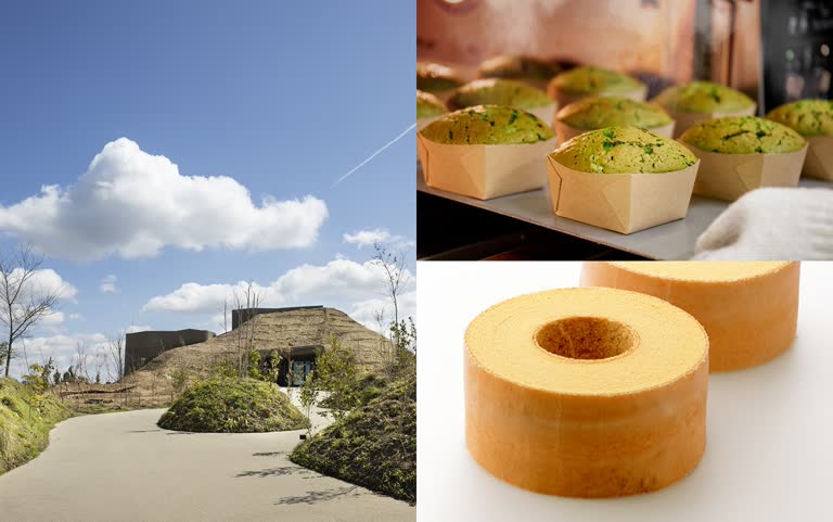 送禮有面子！全台獨家伴手禮，日本百年老店Taneya和菓子、CLUB HARIE 年輪蛋糕，不用出國也能買