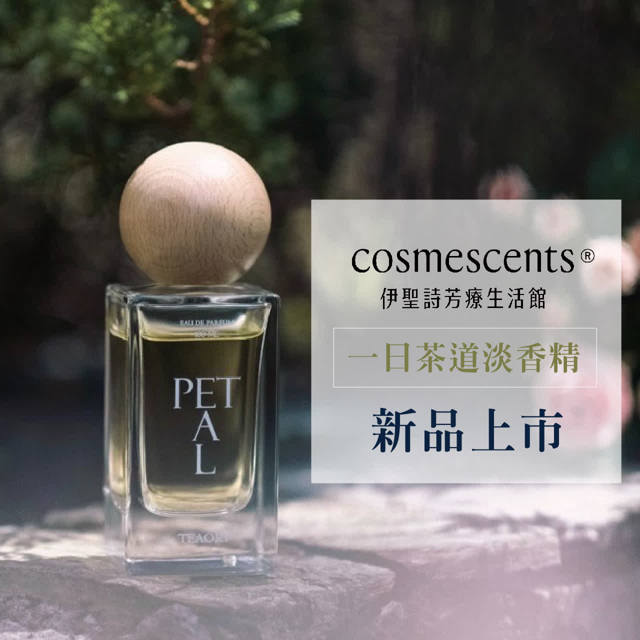 WN 伊聖詩新品曝光推薦