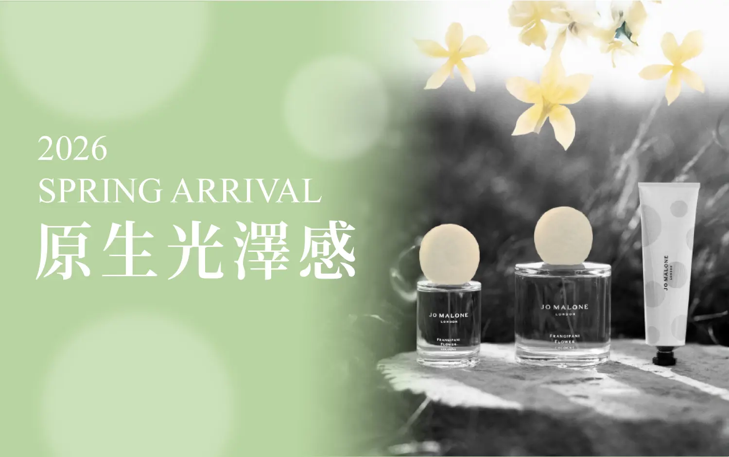 【2026春上市】原生光澤感