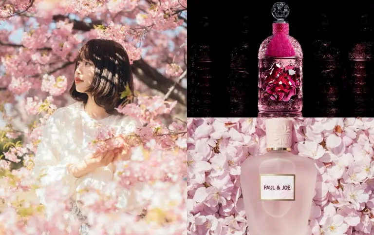 2026櫻花季出遊必讀！賞花噴香水小心機5大重點、櫻花香氛推薦一次看