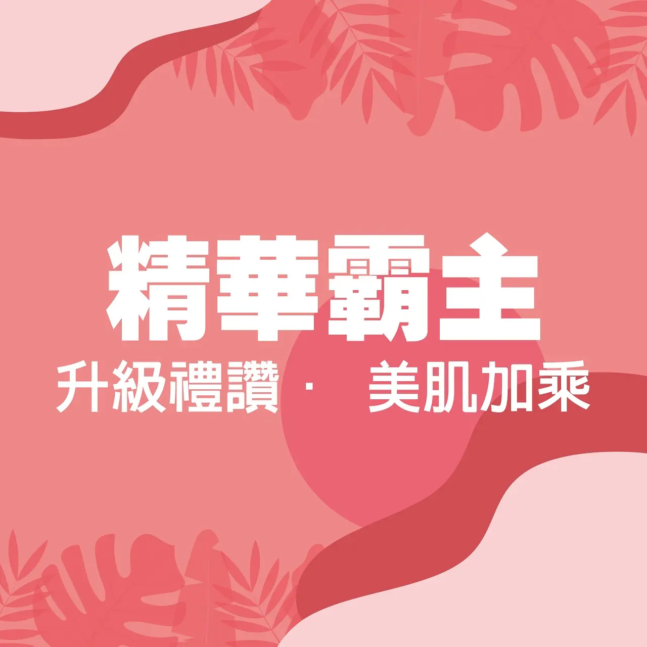 𝟐𝟎𝟐𝟔初夏購物節｜精華霸主大集合！