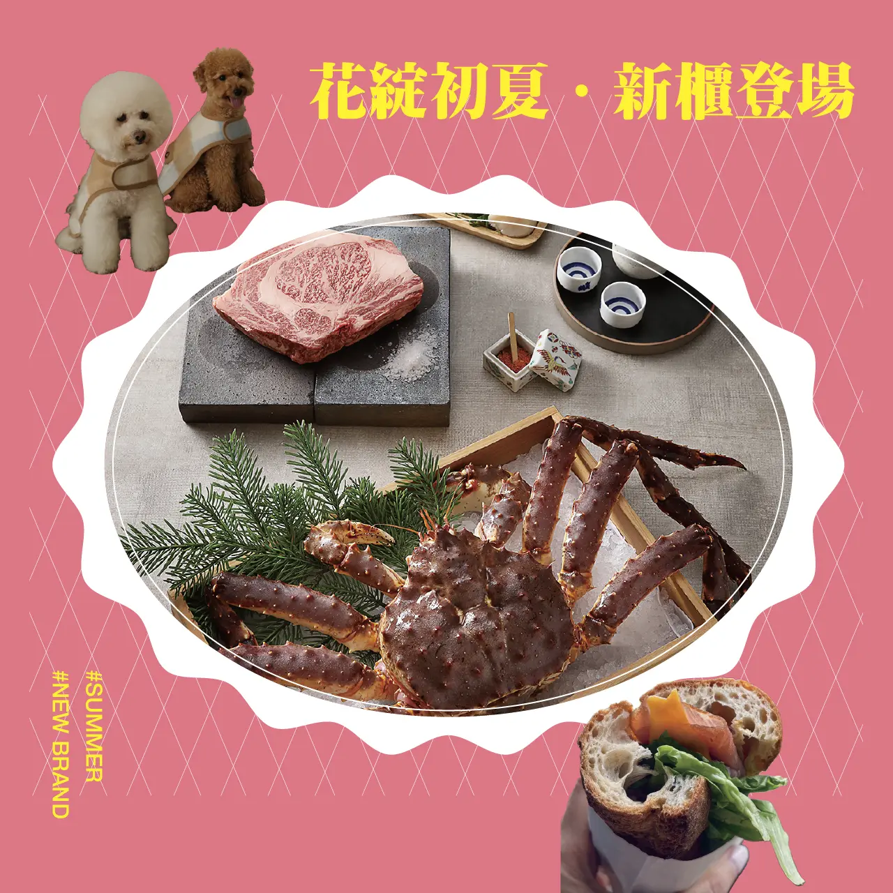 花綻初夏．新櫃登場