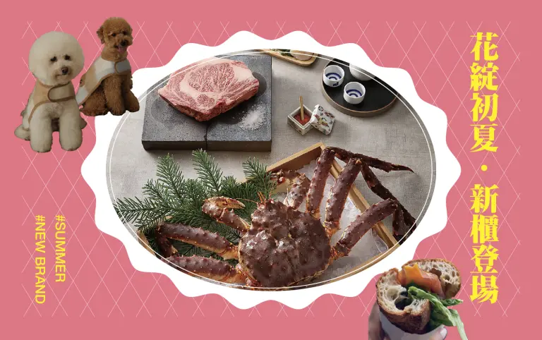 花綻初夏．新櫃登場