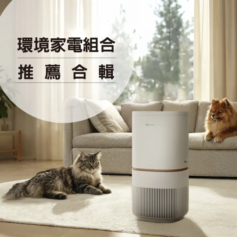WN 家電區 環境家電組合推薦