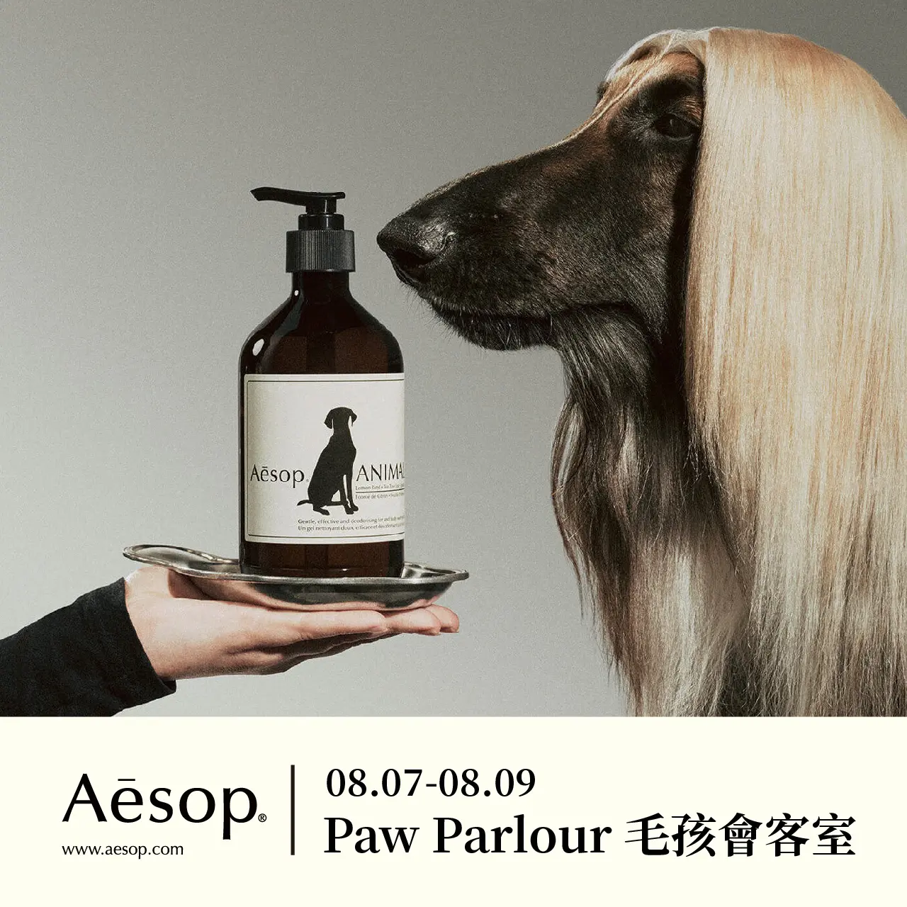 WN Aesop 毛孩會客室